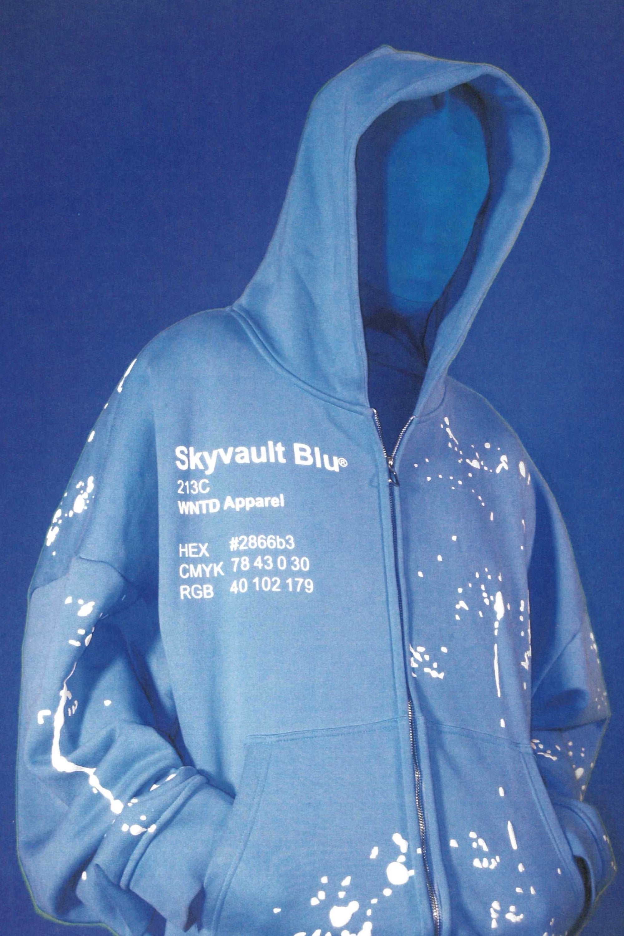 PANTONE HOODIE